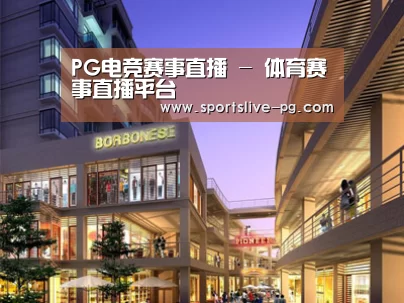 案例展示一(图1)