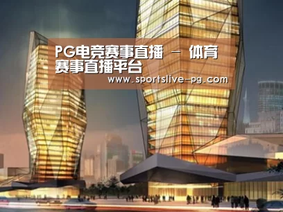 案例展示三