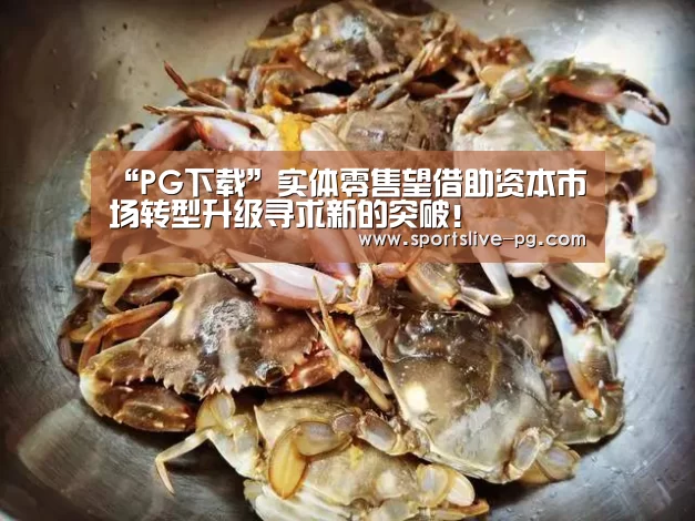 “PG下载”实体零售望借助资本市场转型升级寻求新的突破！