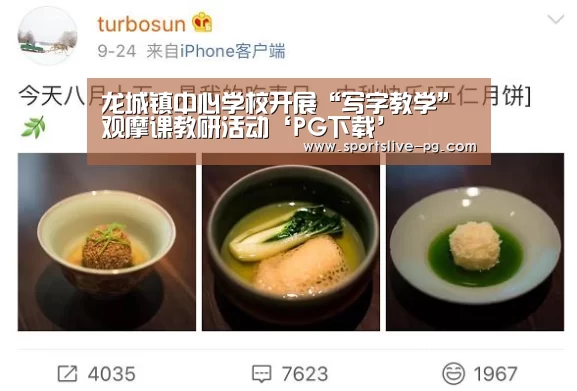 龙城镇中心学校开展“写字教学”观摩课教研活动‘PG下载’(图2) PG赛事