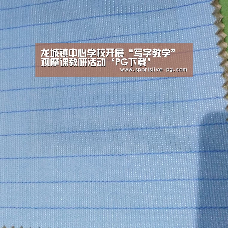 龙城镇中心学校开展“写字教学”观摩课教研活动‘PG下载’(图3) PG游艺