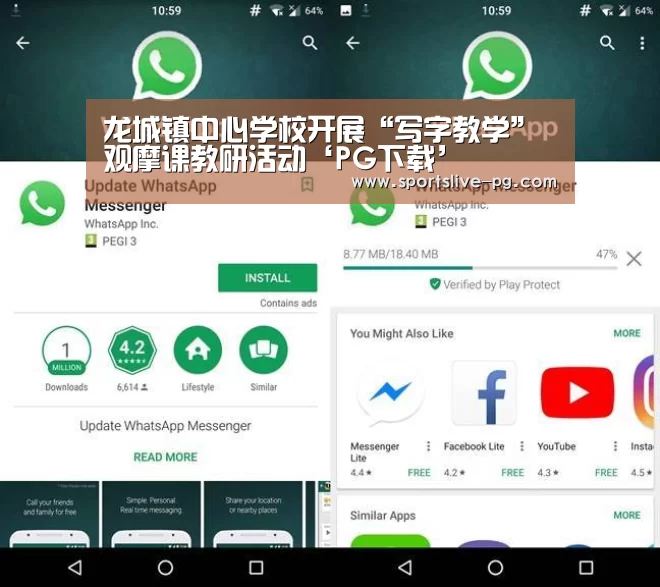 龙城镇中心学校开展“写字教学”观摩课教研活动‘PG下载’(图4) PG赛事