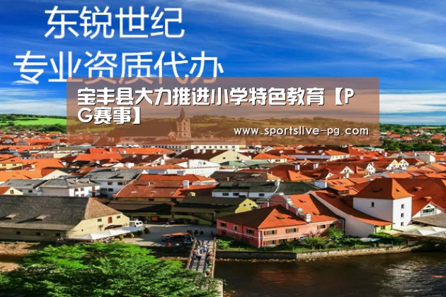 宝丰县大力推进小学特色教育【PG赛事】(图1) PG下载