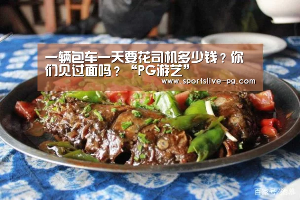 一辆包车一天要花司机多少钱?你们见过面吗?“PG游艺”(图1) PG游艺