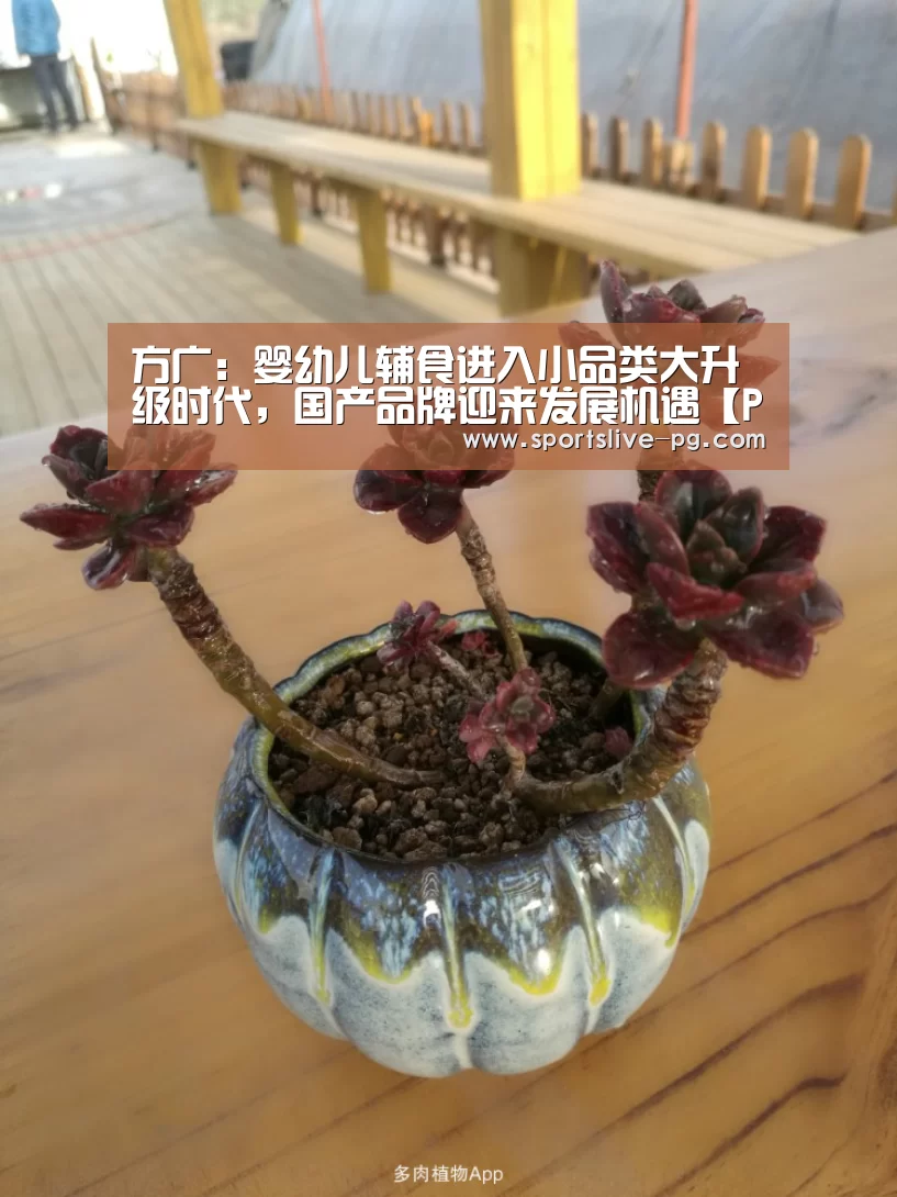 方广:婴幼儿辅食进入小品类大升级时代,国产品牌迎来发展机遇【PG棋牌】(图1) PG游艺